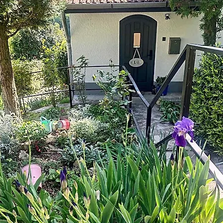 Meszi Vendeghaz Hotel Zalacsány